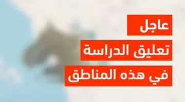 عاجل .. بعد تحذيرات الأرصاد وزارة التعليم السعودي تقرر تعليق الدراسة غدًا في هذه المناطق