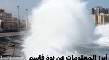 "نوة قاسم" التي تضرب الإسكندرية الآن .. أبرز المعلومات عنها