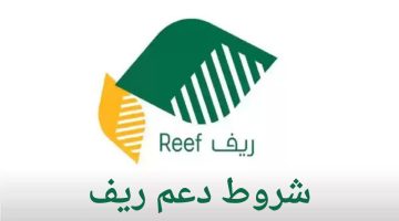  كيف يمكن الحصول على دعم ريف 1445 وما هي شروط التقديم فيه؟