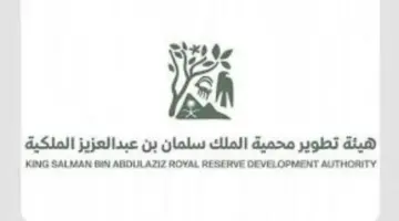القوات الخاصة للأمن البيئي تتخذ الاجراءات النظامية بحق ثلاث مخالفين بمحمية الملك سلمان