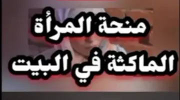 "أهمها وجود درجة تعليمية" الحكومة الجزائرية تكشف شروط منحة المرأة الماكثة في البيت وآلية التسجيل