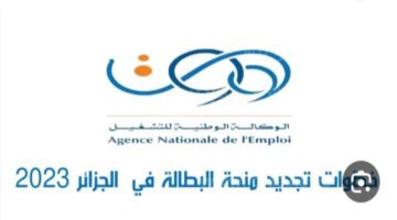 "الحكومة الجزائرية" تكشف رابط تجديد منحة البطالة وأهم الشروط المطلوبة 1445