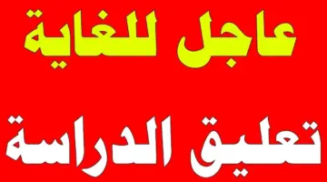 تعليم مكة: تعليق الدراسة بشكل عاجل لجميع الصفوف الليلية والمسائية اليوم