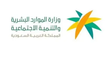 "الموارد البشرية ".. تتيح خدمة إلغاء التغيب عن العمل بعد 20 يومًا