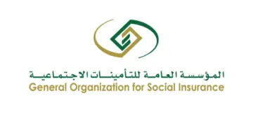 تحديث الأنظمة على ضوء المستجدات .. احتساب السن في التأمينات بالتاريخ الهجري