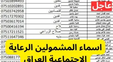 عاجل .. رابط تحميل كشوفات اسماء الرعاية الاجتماعية الوجبة الأخيرة عبر منصة مظلتي
