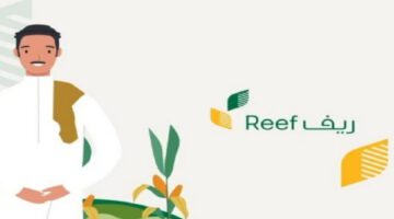 ما هي الانشطة والمنتجات و القطاعات المشمولة بدعم ريف بمكة المكرمة؟