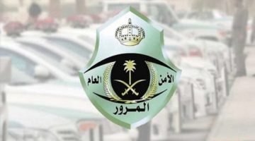 هل يمكن تجديد استمارة السيارة بدون فحص وما هي الخطوات وقيمة الرسوم؟
