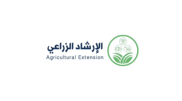 الإرشاد الزراعي يكشف سبب تشقق ثمار الحمضيات ويقدم نصائح لتجنب المشكلة