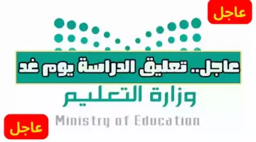 ما هي مناطق تعليق الدراسة غدا؟ " وزارة التعليم" توضح