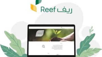 "وزارة البيئة" تعرض شروط الدعم الريفي للنساء للتسجيل في البرنامج 1445