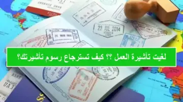 "الحكومة السعودية" تُتيح خدمة استرجاع رسوم تأشيرة العمل حال إلغائها اون لاين