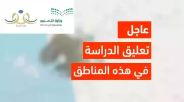 تعليق الدراسة غدا الثلاثاء في السعودية في هذه المناطق بسبب الحالة الجوية الممطرة