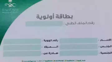 للفئات ذات الاحتياج.. "وزارة الصحة" تستحدث بطاقة أولوية لتسهيل وتسريع الإجراءات