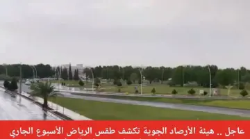 "الأرصاد" يُحذر من انخفاض درجات الحرارة اليوم على الرياض والمنطقة الشرقية