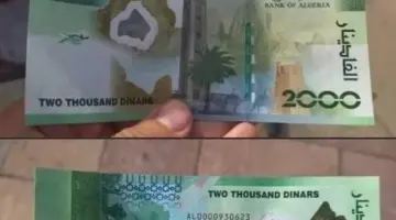 موعد صرف منحة الأطفال في الجزائر وحسم زيادة قيمتها إلى 5000 دج مع مطلع عام 2024