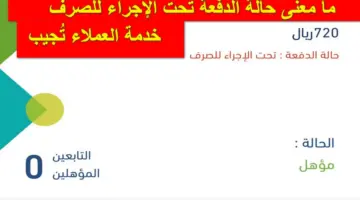 عاجل بعد الإيداع.. ما معنى حالة الدفعة تحت الإجراء للصرف في حساب المواطن؟.. خدمة العملاء توضح