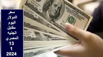"لحظة بلحظة".. سعر الدولار اليوم مقابل الجنيه المصري في البنوك والسوق السوداء السبت 13/ 1/ 2024