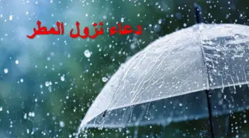 "أللهم صيباً نافعاً".. أفضل دعاء نزول المطر مستجاب لقضاء الحوائج وفتح أبواب الرزق وفك الكرب ونجاح الأبناء