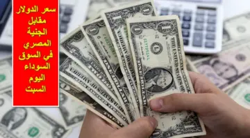 تصاعد جنوني.. سعر الدولار مقابل الجنيه المصري في السوق السوداء اليوم السبت 20/ 1/ 2024