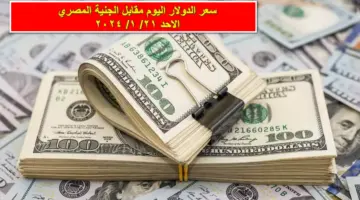 تجاوز الـ 60.. سعر الدولار اليوم مقابل الجنية المصري في السوق السوداء مع بداية تعاملات الأسبوع الأحد 21/ 1/ 2024