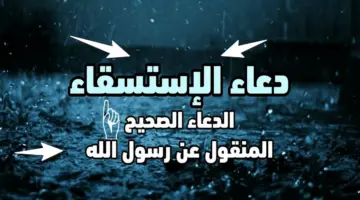 بالتفصيل.. ما هي صلاة الاستسقاء وحكمها وطريقة ادئها وكل ما تريد معرفته عنها وفقاً للسنة النبوية المشرفة