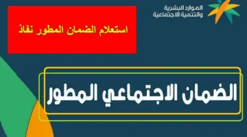 هُنا link.. استعلام الضمان المطور نفاذ للمستفيدين تزامناً مع إيداع دفعة شهر فبراير 2024