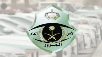 من ضمنها معرفة الحالة الجوية.. "الأمن العام" يقدم إرشادات هامة قبل السفر بالمركبة