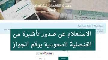 ما هي الاستعلام عن تأشيرة السعودية برقم الجواز؟ وزارة الخارجية السعودية تُجيب