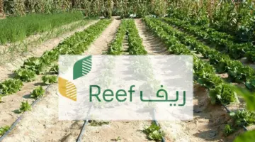 متى ينزل دعم ريف مصرف الراجحي؟ وزارة البيئة والزراعة تُجيب وتوضح مدة دراسة الأهلية