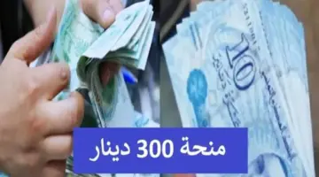 "هنا" رابط التسجيل في منحة تونس 300 دينار والشروط المطلوبة
