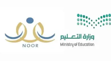 ما هي خطوات التقديم في النقل الخارجي للمعلمين؟ "وزارة التعليم" توضح