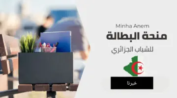 الوكالة الوطنية للتشغيل تصدر بيانًا هامًا بشأن التسجيل في منحة البطالة 2024 وطريقة معرفة وضعية الاستفادة من المنحة