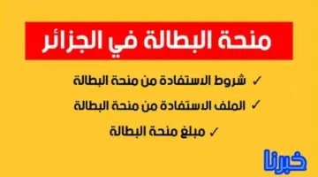منحة البطالة 2024 في الجزائر والتسجيل من خلال الرابط الرسمي