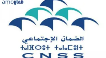 ما هو نظام "الضمان الاجتماعي amo" وكيف يمكن التسجيل فيه؟