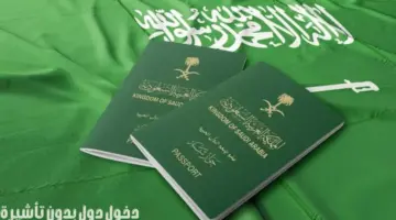 تأكيدًا لريادة المملكة.."جواز السفر السعودي" يسمح بدخول 89 دولة بدون تأشيرة مسبقة