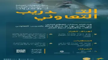 "رسمياً" إلزام الشركات التي توظف 50 شخصاً فأكثر بتقديم التدريب التعاوني للطلاب