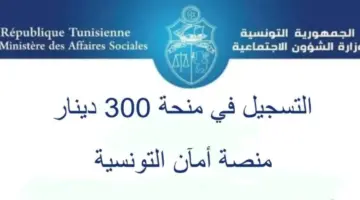 "منحة 300 دينار تونس" .. أهم الشروط المطلوبة للتسجيل والخطوات 2024