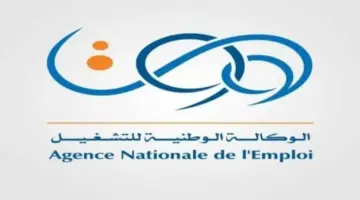 عاجل .. التقديم بمنحة المرأة الماكثة بالبيت 2024 عبر هذا الرابط وأهم الشروط المطلوبة