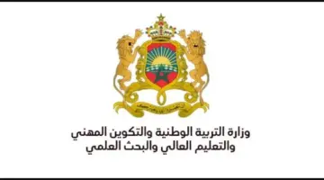 عاجل .. ظهور نتائج مباراة التعليم النهائية بالمغرب بشكل مباشر عبر هذا الرابط 2024