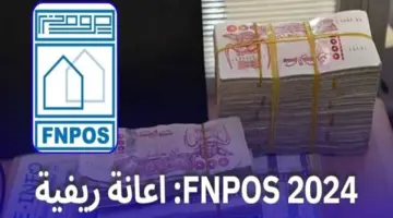 "برابط مباشر" .. الجهات المعنية تعلن عن شروط الاستفادة من منحة fnpos 2024 وكيفية التقديم  