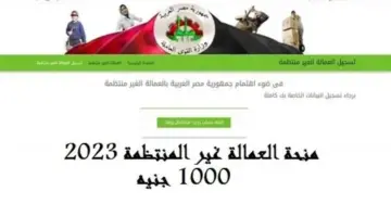"بقيمة 1000 جنيه" وزارة القوى تكشف المقبولين PDF للمستوفين شروط التسجيل في منحة العمالة الغير منتظمة 2024