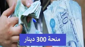 عاااجل .. عرض الأسماء المقبولين في منحة 300 دينار تونس عبر إرسال هذا الكود