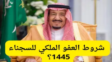 "أخبار جيدة لأسر السجناء" .. وزارة الداخلية توضح شروط العفو الملكي ١٤٤٥