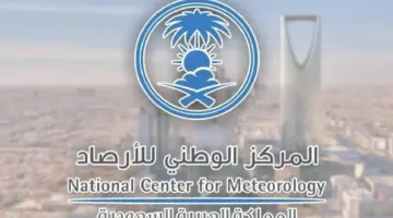 عاجل .. إنذارات من الأرصاد وأمطار ورياح نشطة وصواعق رعدية على 3 مناطق