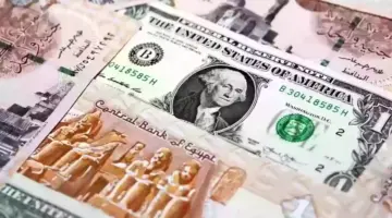 سعر الدولار مقابل الجنيه اليوم الثلاثاء 30 يناير 2024