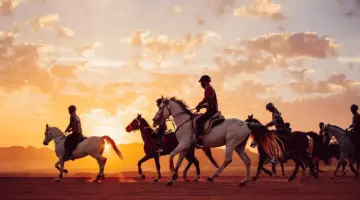 لحظات العلا تعلن عن عودة بطولة كأس خادم الحرمين الدولية في نسختها الخامسة