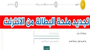رابط تجديد منحة البطالة 2024 عبر موقع الوكالة الوطنية للتشغيل minha.anem.dz والشروط الجديدة