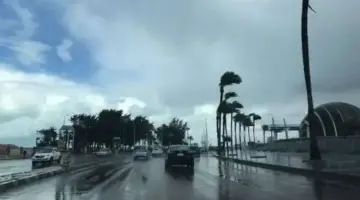 الأرصاد تحذر من حالة الطقس وتكون الشبورة المائية على المدينة المنورة حتى 8 صباحا