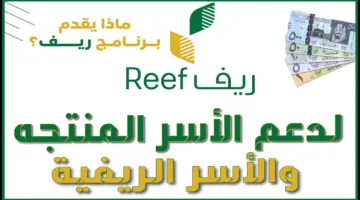 "برنامج التنمية الريفية الزراعية المستدامة" يوضح آلية دعم ريف للفواكه 1445 وأهم شروطه